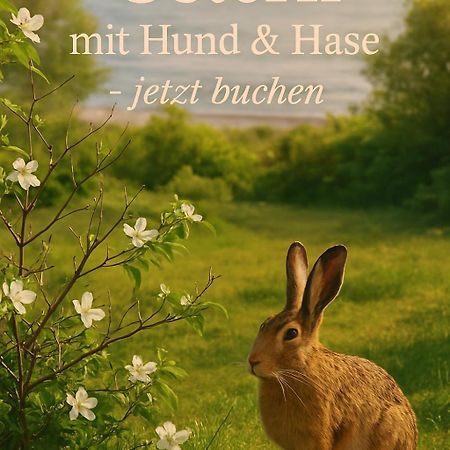 Fewo Ostseele - Julchen تيميندورفير ستراند المظهر الخارجي الصورة
